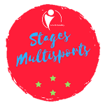 Logo MS